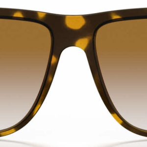 Ray Ban