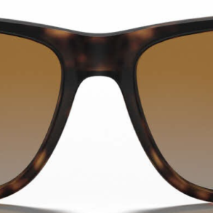 Ray Ban